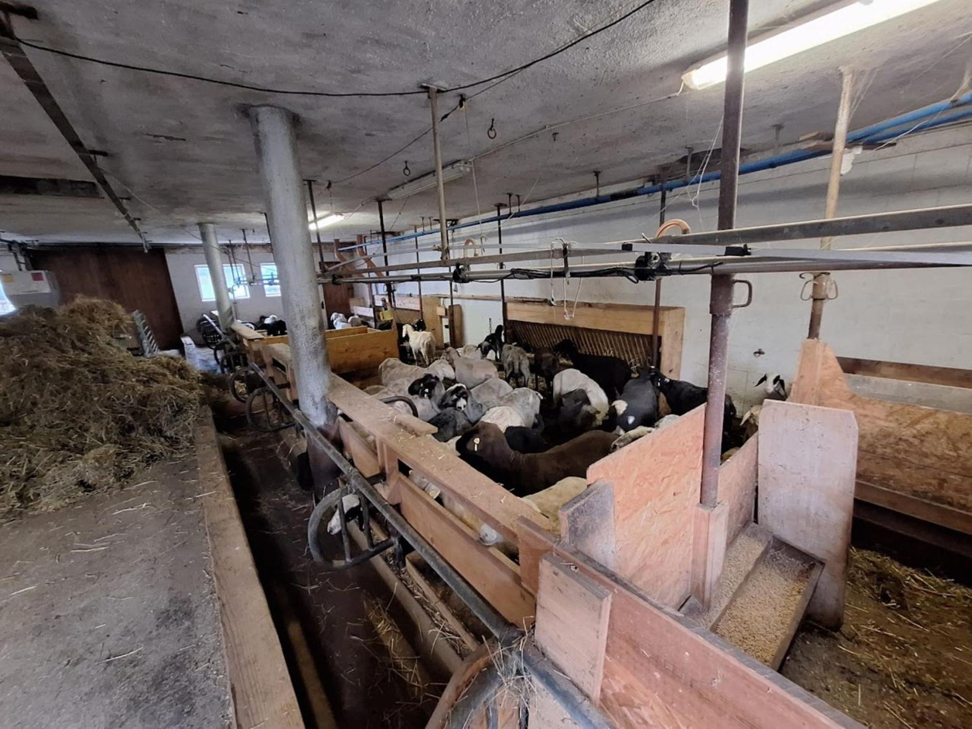 Вілла Mair Am Hof - Farm - Maso - Bauernhof Сан-Лоренцо-ді-Себато Екстер'єр фото